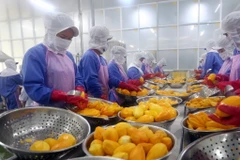 Vietnam’s quest to turn fruit export potential into power