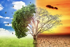 Vietnam calls for comprehensive approach in addressing climate change challenges