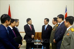 Vietnam always treasures relationship with DPRK: Party official