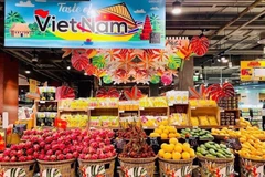 Embassy works to boost economic diplomacy between Vietnam, Thailand