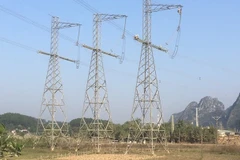 Laos allows private firms to study building power line to Vietnam