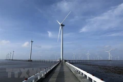 Large foreign firms interested in Vietnam’s offshore wind power industry