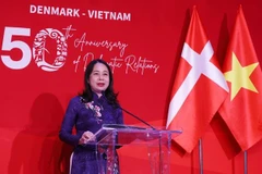 Vietnam, Denmark celebrate 50 years of diplomatic ties