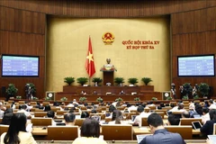 Last working day in third session of 15th National Assembly