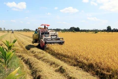 UKVFTA helps to promote agricultural trade exchanges with UK