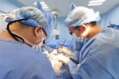 Vietnamese doctors master urethroplasty techniques