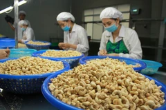 Great progress reported in settlement of suspected cashew nut scam in Italy