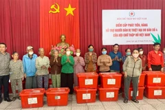 Relief handed to storm victims in Quang Ngai