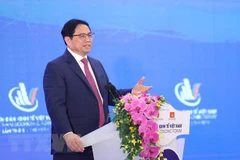 Vietnam has successful year despite difficulties: PM 