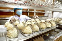 Vietnam bird's nests to enter Chinese market through official channel