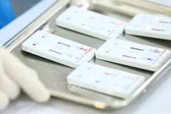 New guidance on rapid COVID-19 testing for air passengers to Vietnam