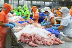 Vietnamese tra fish sector likely to enter new development cycle 