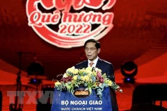 Diplomatic achievements show Party and State’s clear-sighted foreign policy: minister