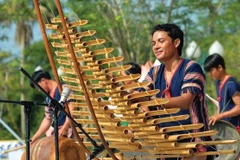 Can Tho to host exhibition on traditional musical instruments of Vietnamese ethnic groups
