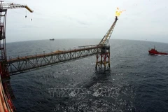 Comprehensive revisions needed for Petroleum Law