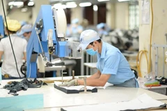 Advice given to help firms boost exports to American members of CPTPP
