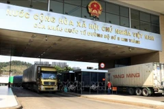 Solutions sought to qualify Vietnam’s agricultural exports for Chinese market