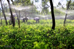 Dong Nai focuses on building model new-style rural areas