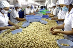 Cashew industry urged to focus on markets with FTAs