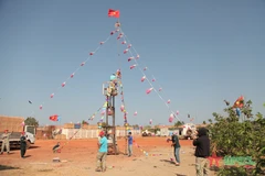 Vietnamese peacekeepers in South Sudan erect New Year tree
