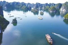Cat Ba island, the 'pearl' of the north for tourists
