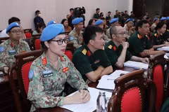 Vietnamese peacekeepers highly valued by int’l community: official