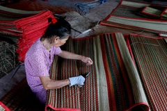 Long An to support handicraft villages, rural livelihoods