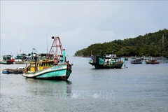 Kien Giang focuses on key projects for socio-economic development