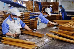 Forestry exports approximate 17 billion USD in 2022