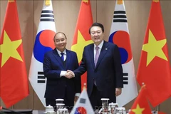 Vietnamese, RoK Presidents hold talks