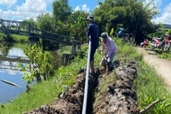 Households in saltwater affected Ca Mau to access to clean water