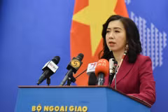 Situation of Vietnamese workers in Africa sees certain improvements: spokesperson 