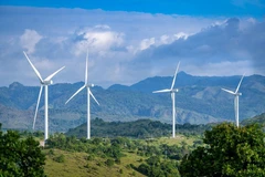 Vietnam faces challenges in ensuring sustainable development: insiders