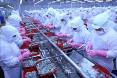 Vietnam’s aquatic exports to Russia record strong rebound