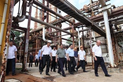 PM urges speeding up restructuring of Ha Bac fertilizer plant