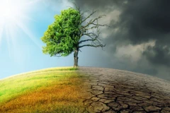 World Meteorological Day 2022 stresses role of early warning, early action 