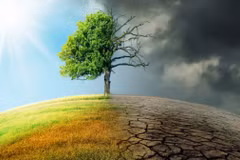World Meteorological Day 2022 stresses role of early warning, early action 