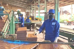 Quang Ninh determined to put COVID-19 under control for socio-economic development 