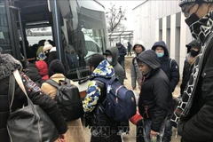 Gov't approves policy to organise flights repatriating Vietnamese from Ukraine