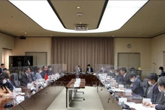 Vietnam, Japan agree on enhanced cooperation to improve supply chains