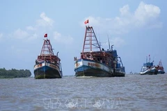 IUU fight: Four provinces complete installation of VMS on eligible fishing boats
