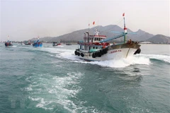 Thanh Hoa province works hard to fight IUU fishing 