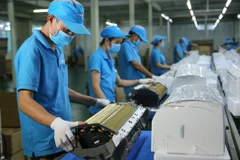 Most firms see bright economic prospects