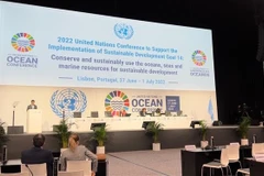 Vietnam reaffirms commitments to develop blue, sustainable oceans