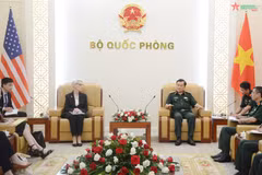 Cooperation in war consequence settlement – foundation of Vietnam-US ties