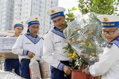 Early Tet visits to officers, soldiers on DK1 platforms
