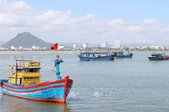 Khanh Hoa province makes progress in combating IUU fishing
