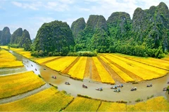 Festival to promote heritage values to the world
