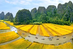 Festival to promote heritage values to the world