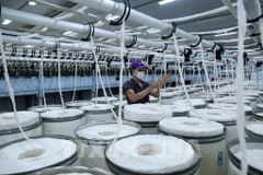 Vinatex’s net profit rises sharply last year